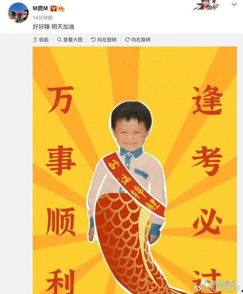 明星网红合唱翻车凉凉,网络热议“凉凉”背后的真相