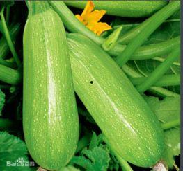 五一每日必吃大瓜热门