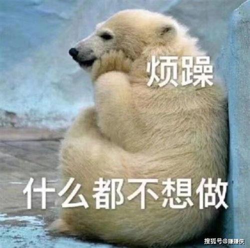 最近热门吃瓜视频大全图片,揭秘娱乐圈幕后真相