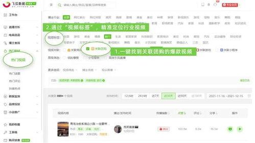 飞瓜数据热门视频下载不了,飞瓜数据热门视频下载难题揭秘