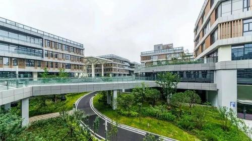 黑料吃黑瓜网名单,网络舆论背后的真相与反思