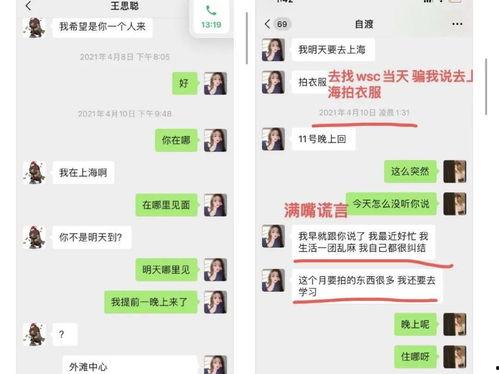 黑料吃黑瓜网名单,网络舆论背后的真相与反思