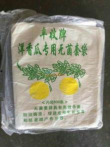 热门瓜袋,潮流趋势与时尚风向标