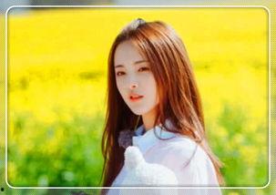 明星网红拍的道具,跟随镜头探寻幕后秘密