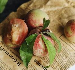 红桃吃瓜热门,揭秘网络热门话题背后的真相与笑料