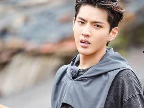 大麦苗粉明星网红,网红明星的养生新宠，绿色健康生活新趋势