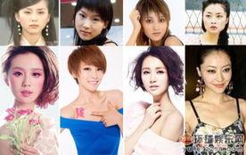 以前明星网红有哪些,回顾那些闪耀过的名字