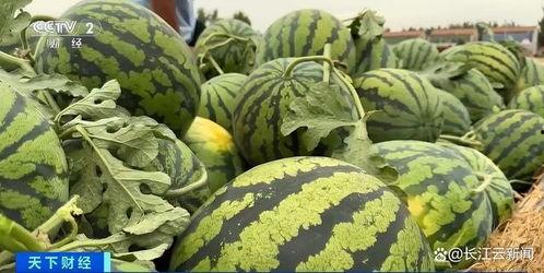 近期热门吃瓜事件浙江,揭秘近期热门吃瓜事件背后的真相