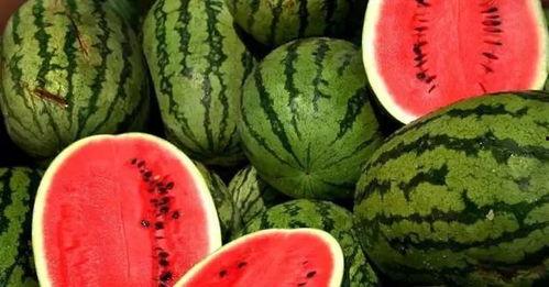 近期热门吃瓜事件浙江,揭秘近期热门吃瓜事件背后的真相