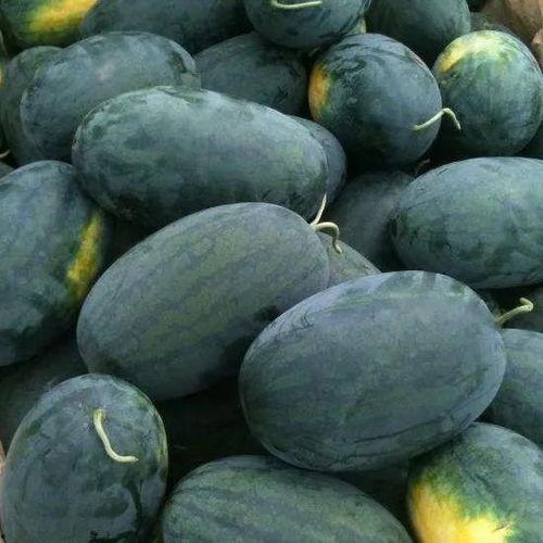 临夏吃瓜的黑料群,揭秘网络谣言背后的真相