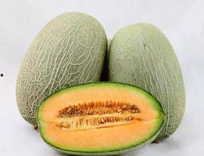河南哈密瓜今日价格,品质佳品，实惠之选