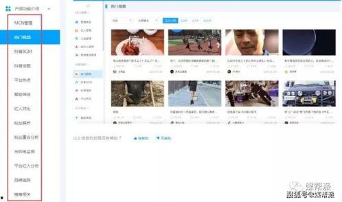 抖音最新热门瓜网站,揭秘网红幕后故事，带你领略短视频魅力