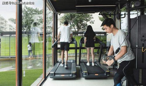 今日徐闻毛瓜价格查询