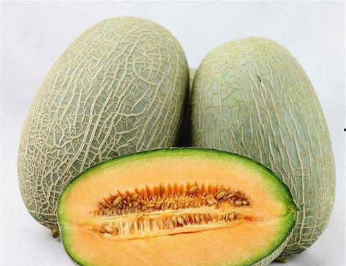 哈密瓜的当下热门品种是,揭秘当下热门品种的甜蜜奥秘