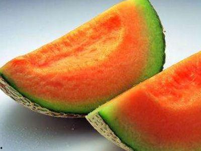 哈密瓜的当下热门品种是,揭秘当下热门品种的甜蜜奥秘