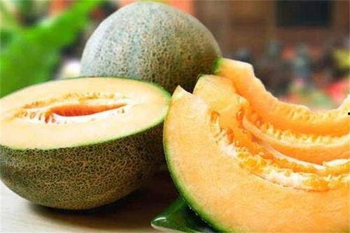 哈密瓜的当下热门品种是,揭秘当下热门品种的甜蜜奥秘