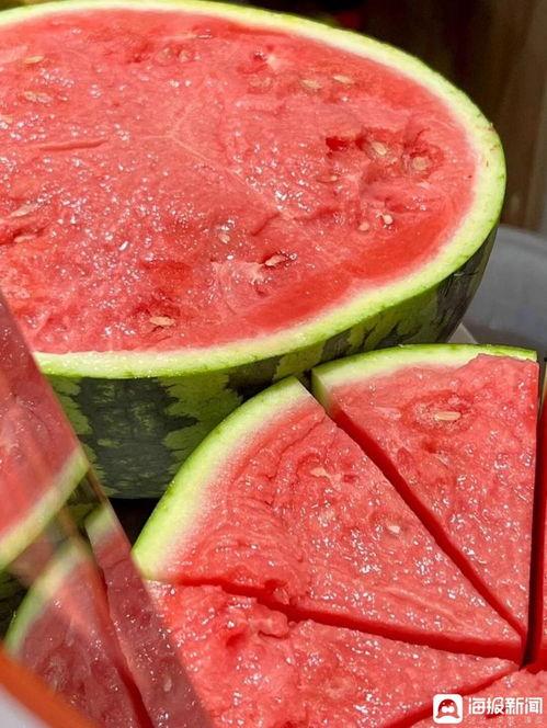 麒麟瓜今日价格行情,涨跌波动，市场动态一览