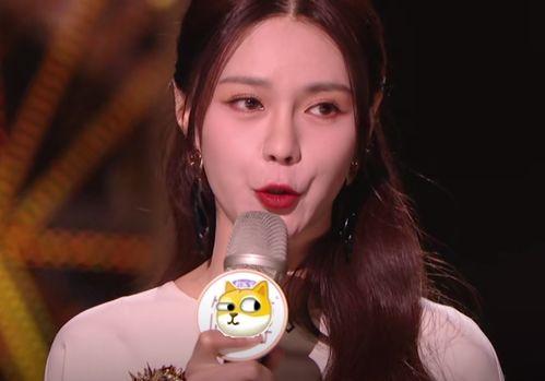 大同灵丘歌手明星网红,明星云集，网红闪耀的音乐天堂