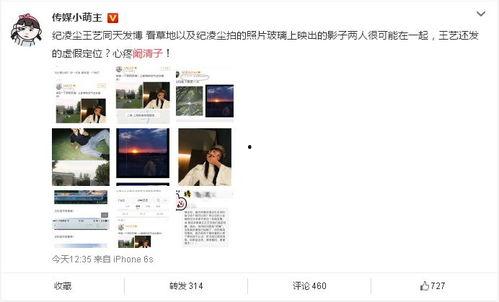 小明星网红属性介绍,小明星的多面魅力与影响力解析
