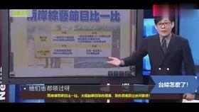 小明星网红属性介绍,小明星的多面魅力与影响力解析