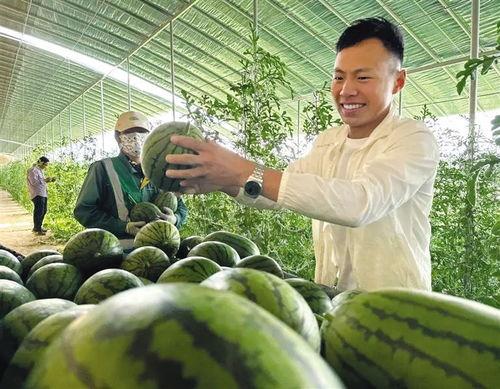 太和区采瓜热门推荐,体验田园乐趣，畅享丰收喜悦