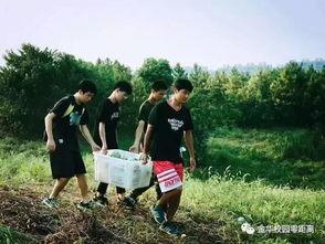 学生校园热门大瓜,揭秘学生圈热门大瓜事件