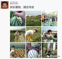 学生校园热门大瓜,揭秘学生圈热门大瓜事件