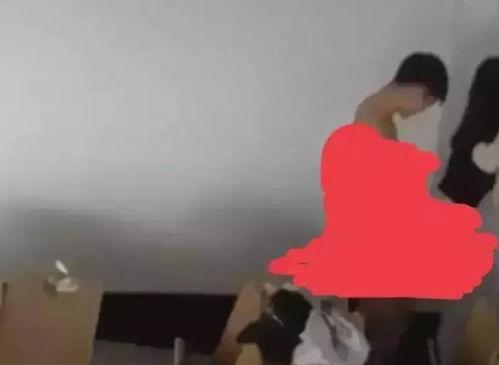 吃瓜各种热门事件学生,揭秘近期网络热门事件背后的真相