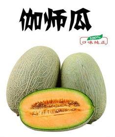 伽师瓜今日价格表,品质佳、口感好，价格实惠