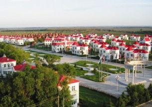 兴十四村瓜今日价格