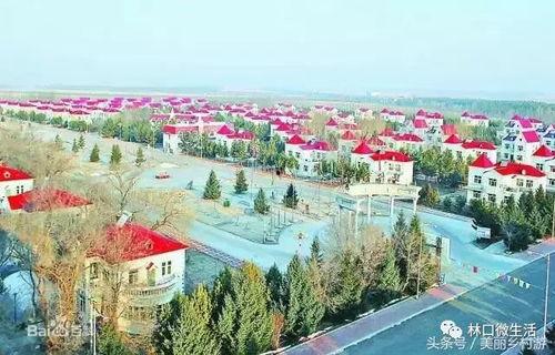 兴十四村瓜今日价格