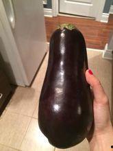 茂名茄瓜价格今日价,市场行情一览”