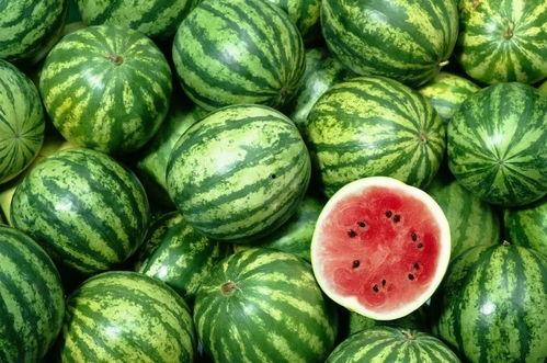 吃黑瓜的网站推荐大全,吃黑瓜网站推荐大全盘点