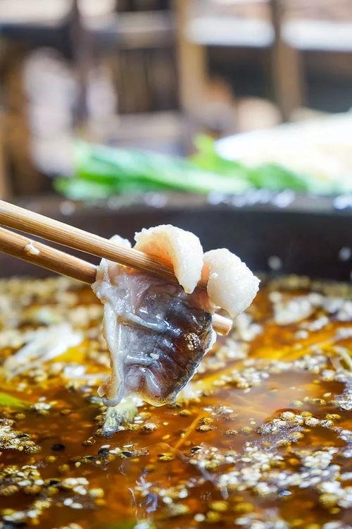 吃瓜爆料抖音网红多鱼,吃瓜爆料背后的故事与真相