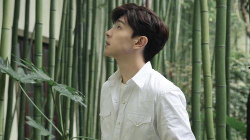 吃瓜爆料张雪迎罗云熙,娱乐圈的甜蜜与争议