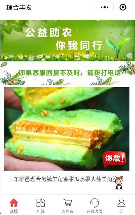 今日羊角蜜瓜价格走势,今日市场行情解析