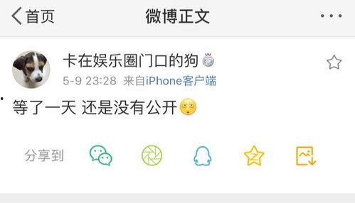 吃瓜爆料八卦在线看,吃瓜爆料，八卦在线看