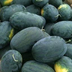 红料吃瓜爆料黑料是什么,黑料背后的真相与争议