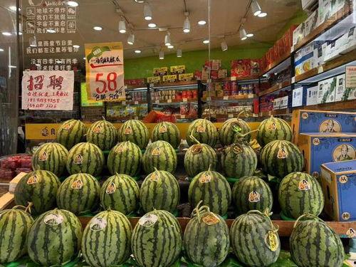 海南麒麟瓜产地今日行情,丰收喜人，价格稳定