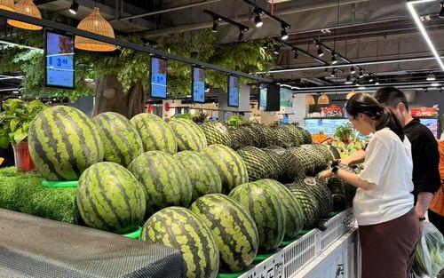 海南麒麟瓜产地今日行情,丰收喜人，价格稳定