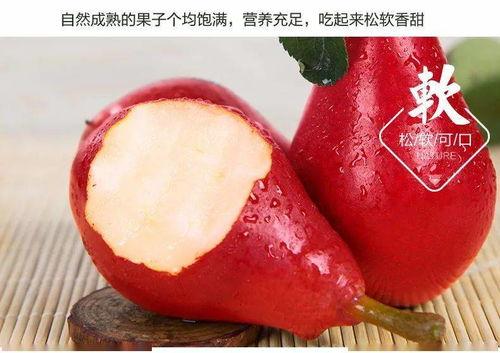 荷兰乳瓜今日天津价格,行情分析一览