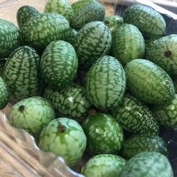 今年热门的瓜,2023年度娱乐圈重磅瓜料大盘点