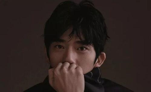 高学历的明星网红,知识魅力与网络影响力的完美融合