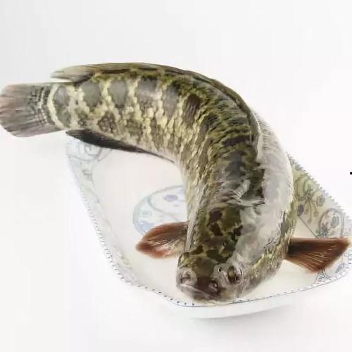 黑鱼视频吃瓜热门网站大全,热门网站大全吃瓜指南