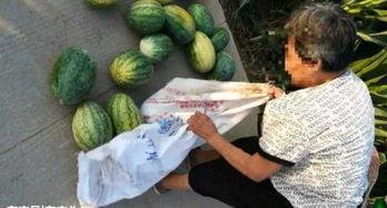 甘肃近期热门吃瓜事件,揭秘近期热门吃瓜事件背后的真相