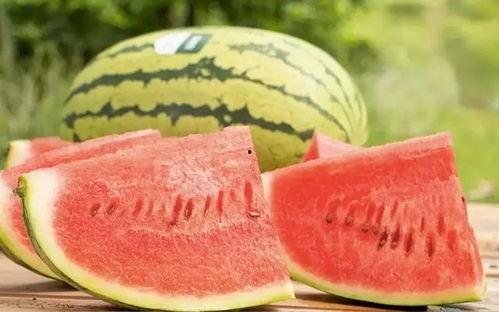 今日粉瓜价格最新行情,最新行情揭示市场动态”