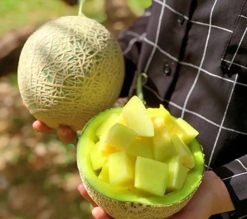 哪些地方可以娱乐圈吃瓜,揭秘明星幕后故事与热点事件