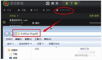 怎么找到热门大瓜视频软件,轻松追踪热门动态，一网打尽热门视频