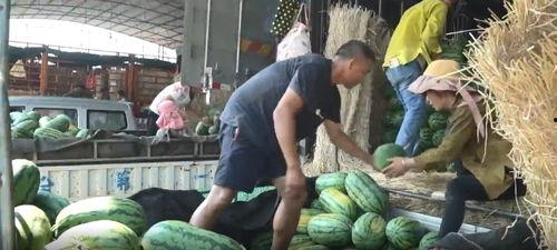 普宁热门吃瓜事件真相揭秘,揭秘背后的真相与真相背后的真相