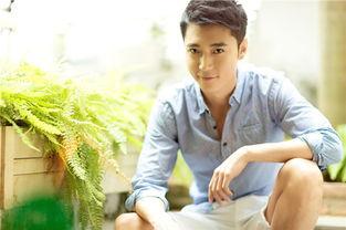 娱乐圈吃瓜爆料张丹峰,娱乐圈风波中的真相与反思